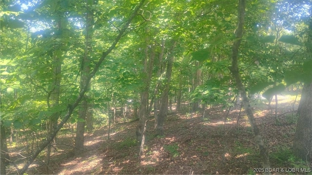 118 Veronica Ln, Four Seasons, MO 65049