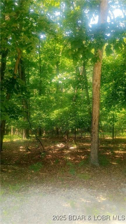 118 Veronica Ln, Four Seasons, MO 65049