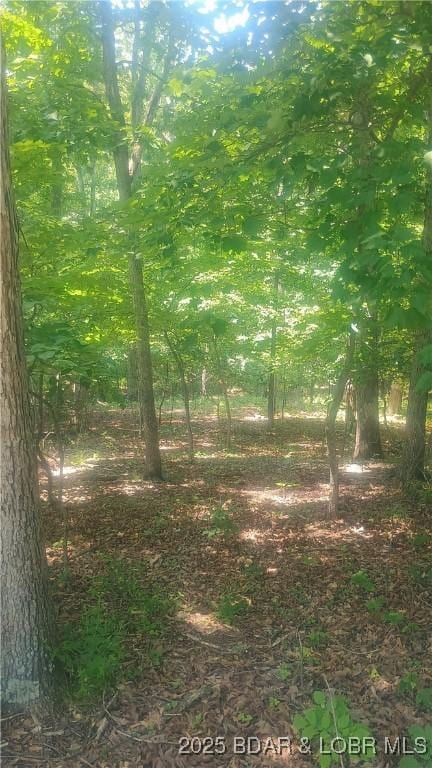 118 Veronica Ln, Four Seasons, MO 65049