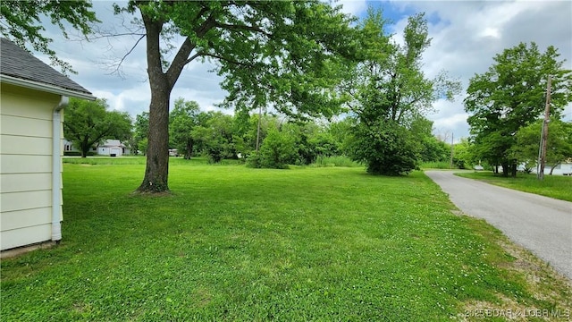 view of green lawn
