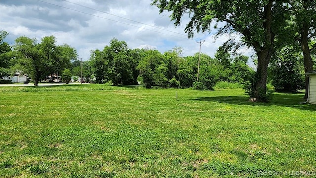 view of green lawn