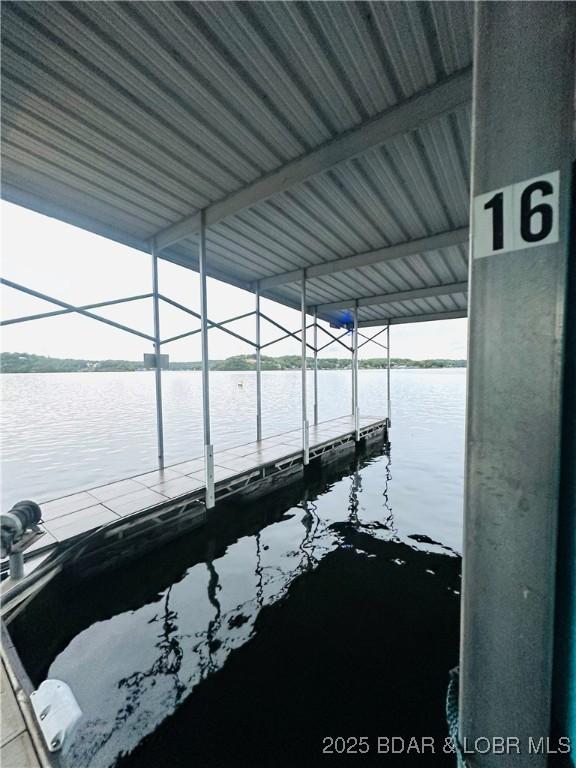 dock area with a water view