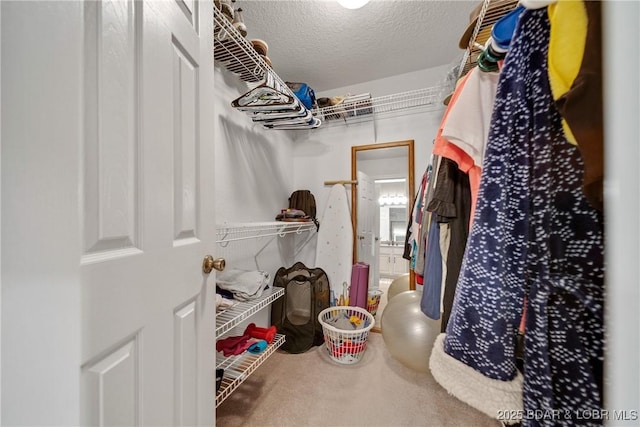 walk in closet with carpet flooring