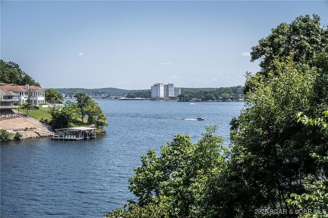 property view of water