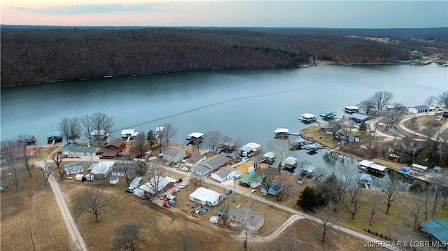 aerial view at dusk with a water view