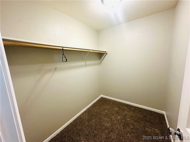 walk in closet with carpet flooring