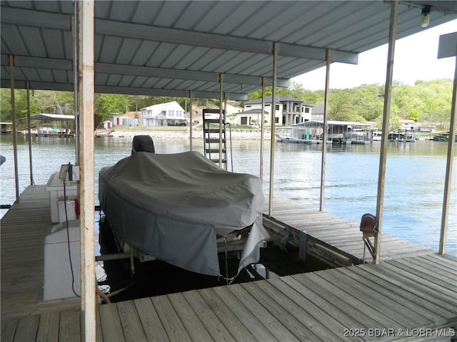 dock area with a water view
