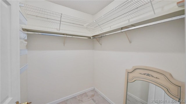 view of walk in closet