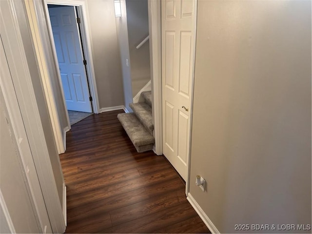 hall featuring dark hardwood / wood-style floors