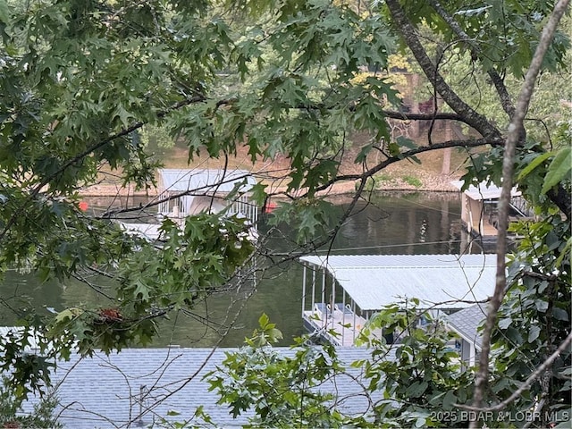 water view with a dock