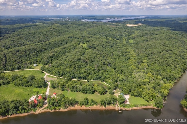 bird's eye view with a water view