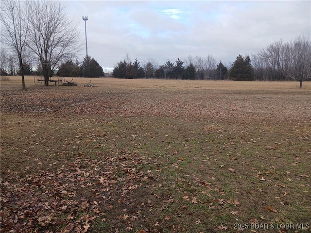 view of yard with a rural view