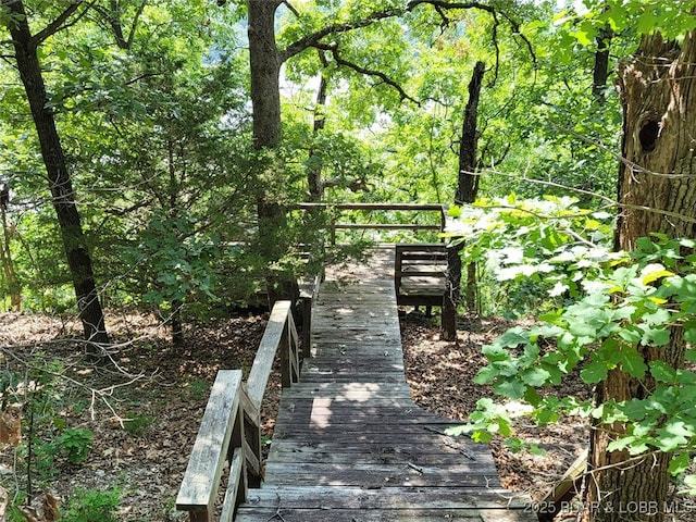 104 Golden Goose Dr, Edwards, MO 65326 - view of home's community