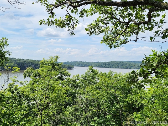 104 Golden Goose Dr, Edwards, MO 65326 - property view of water