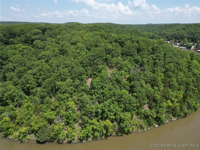 104 Golden Goose Dr, Edwards, MO 65326 - aerial view featuring a water view