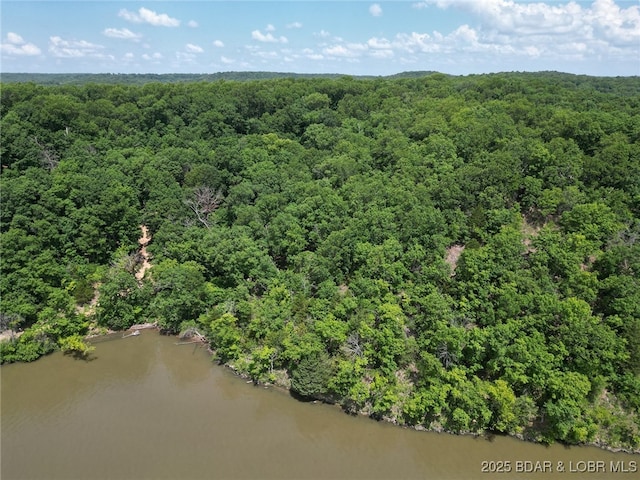 104 Golden Goose Dr, Edwards, MO 65326 - aerial view featuring a water view