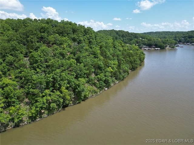 104 Golden Goose Dr, Edwards, MO 65326 - drone / aerial view with a water view