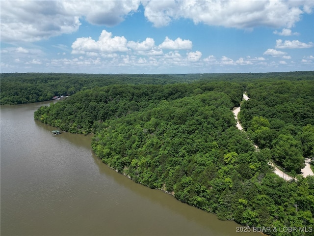 104 Golden Goose Dr, Edwards, MO 65326 - birds eye view of property featuring a water view
