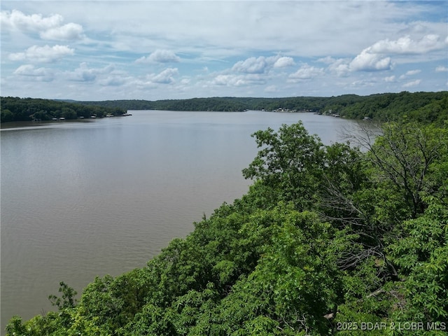 104 Golden Goose Dr, Edwards, MO 65326 - property view of water
