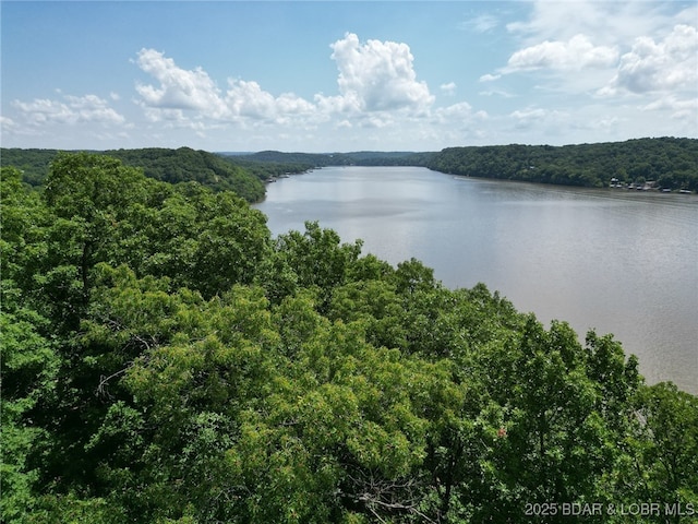 104 Golden Goose Dr, Edwards, MO 65326 - property view of water