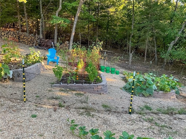 view of yard featuring a vegetable garden