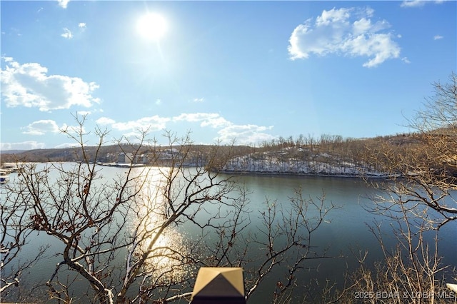 175 Black Rock Rd, Camdenton, MO 65020 - water view