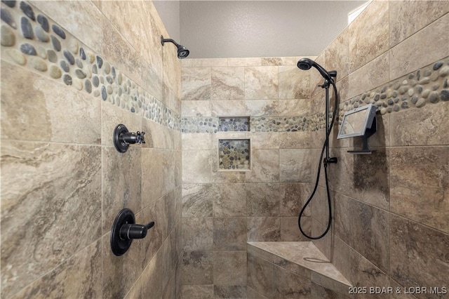 175 Black Rock Rd, Camdenton, MO 65020 - detailed view of tiled shower