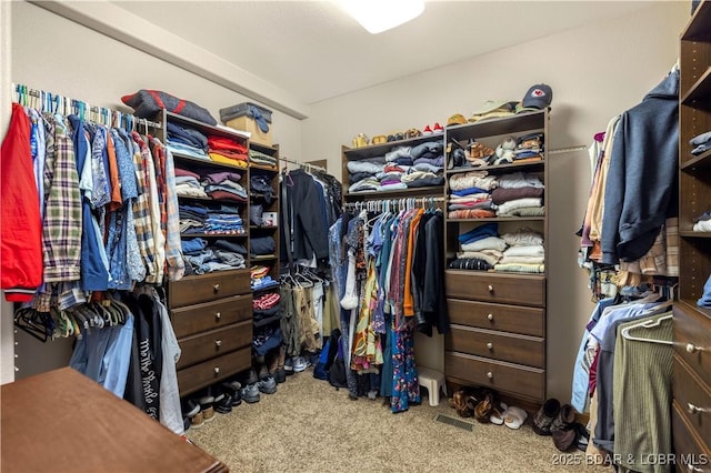 spacious closet with carpet floors