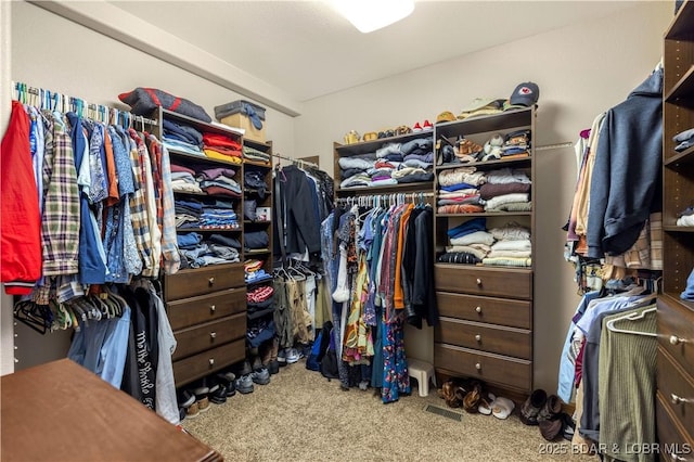 175 Black Rock Rd, Camdenton, MO 65020 - walk in closet with carpet