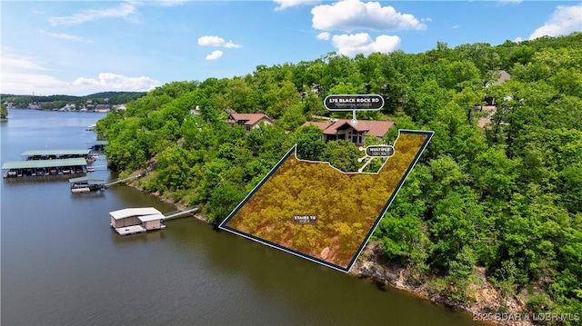 175 Black Rock Rd, Camdenton, MO 65020 - bird's eye view of a large body of water