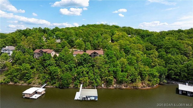 175 Black Rock Rd, Camdenton, MO 65020 - bird's eye view of a nearby body of water and a heavily wooded area