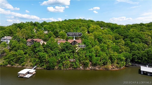 175 Black Rock Rd, Camdenton, MO 65020 - aerial view of a large body of water