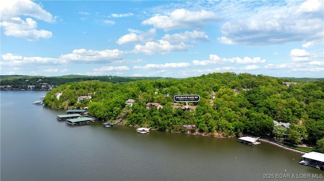 175 Black Rock Rd, Camdenton, MO 65020 - aerial view of a heavily wooded area and a nearby body of water