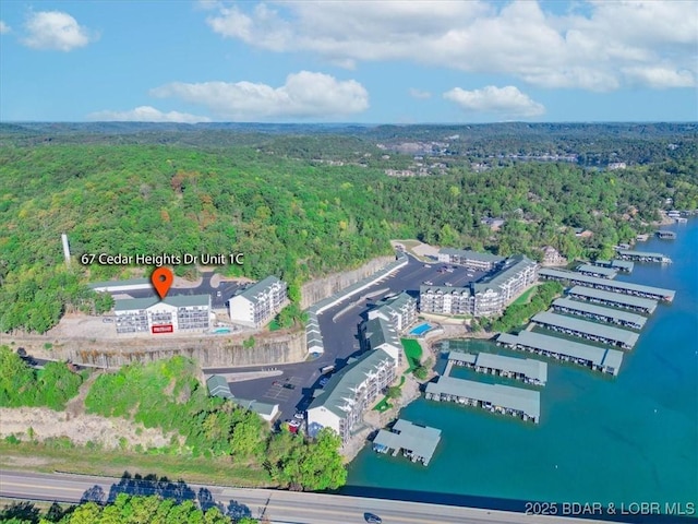 bird's eye view featuring a water view and a forest view