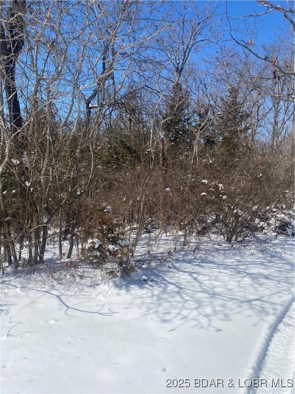 TBD Horseshoe Bend Parkway, Lake Ozark, MO 65049