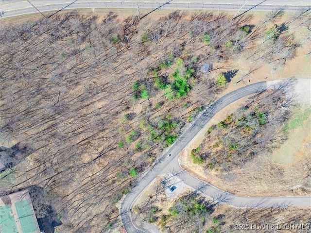 TBD Horseshoe Bend Parkway, Lake Ozark, MO 65049