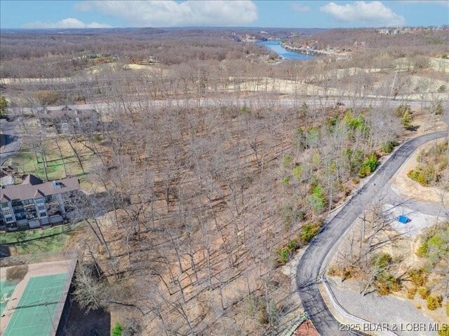 TBD Horseshoe Bend Parkway, Lake Ozark, MO 65049