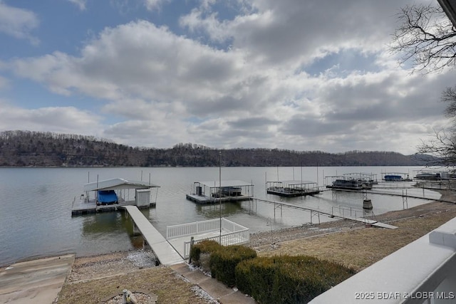 view of dock featuring a water view