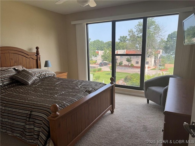 85 La Jolla Dr Unit 352-2A, Lake Ozark, MO 65049 - bedroom with light colored carpet