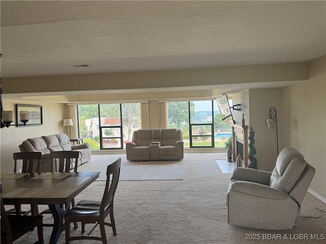 85 La Jolla Dr Unit 352-2A, Lake Ozark, MO 65049 - living room with carpet, healthy amount of natural light, and a textured ceiling