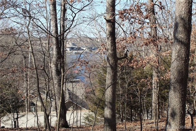 Listing photo 3 for LOT175 Grand Cove Rd, Porto Cima MO 65079