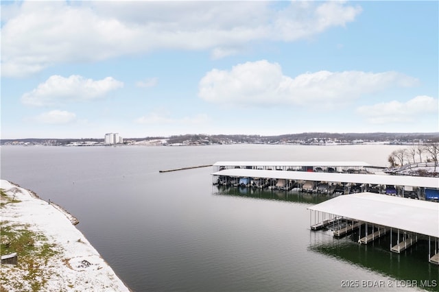 dock area featuring a water view