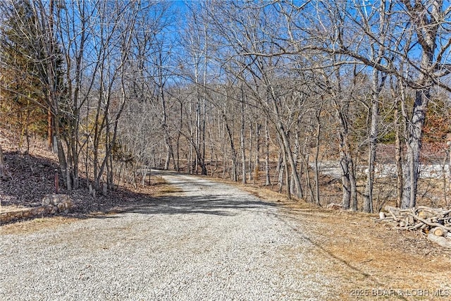 view of road with a wooded view