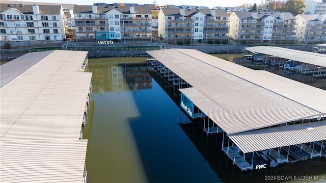 dock area with a water view