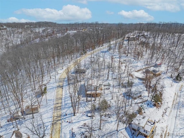 view of snowy aerial view