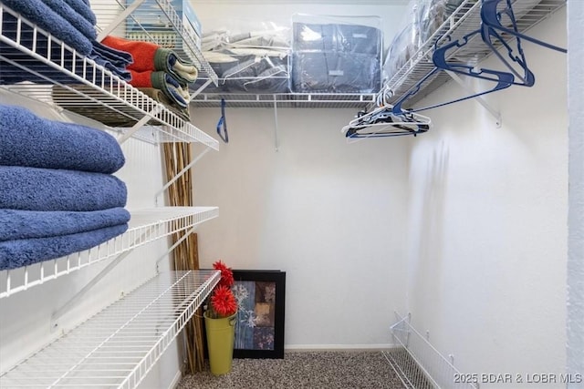 walk in closet with carpet flooring