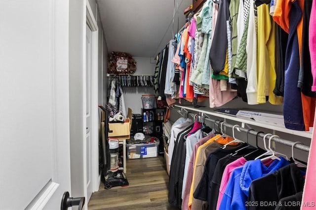 walk in closet with wood finished floors