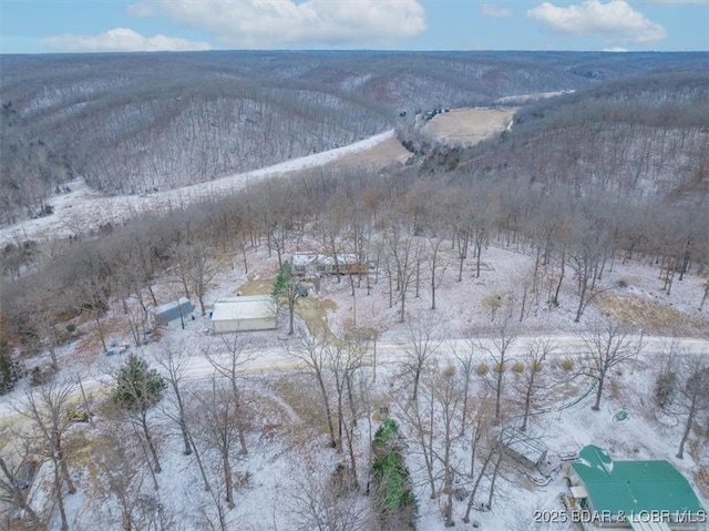 view of snowy aerial view