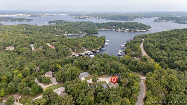 drone / aerial view with a water view and a wooded view