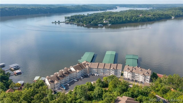 aerial view featuring a water view and a forest view